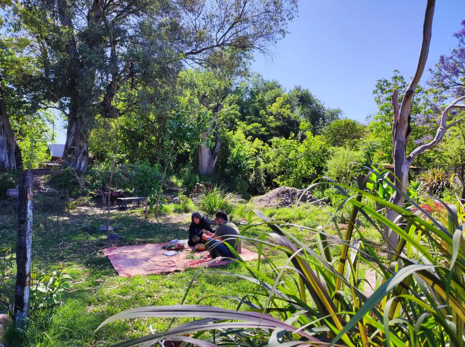 Grupo, Trabajo, Alumnos, Estudio, Investigación, Herbolaria, Plantas, Medicina natural, Curso, Taller, Taller de Herbolaria