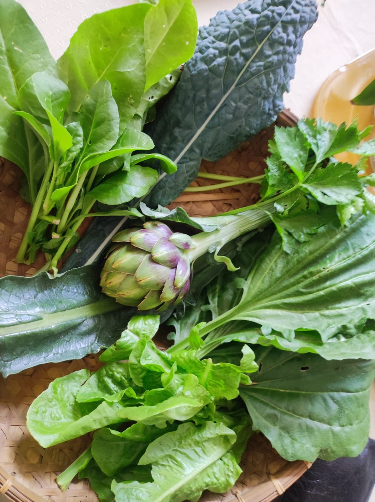 Alcaucil, Cosecha, Siembra, Cosechar, Verde, Verdura, Huerta, Almacén de plantas, Herbolaria